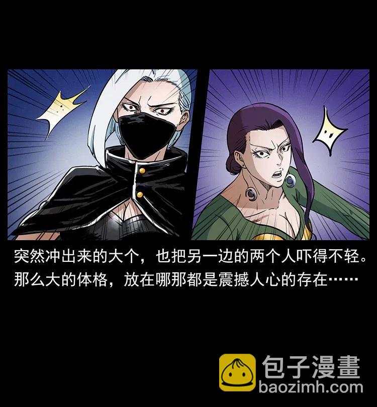 幽冥詭匠 - 372 天擊雷屍(2/2) - 6