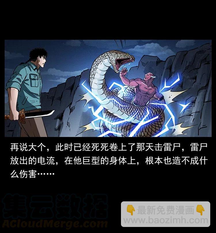 幽冥詭匠 - 372 天擊雷屍(2/2) - 7