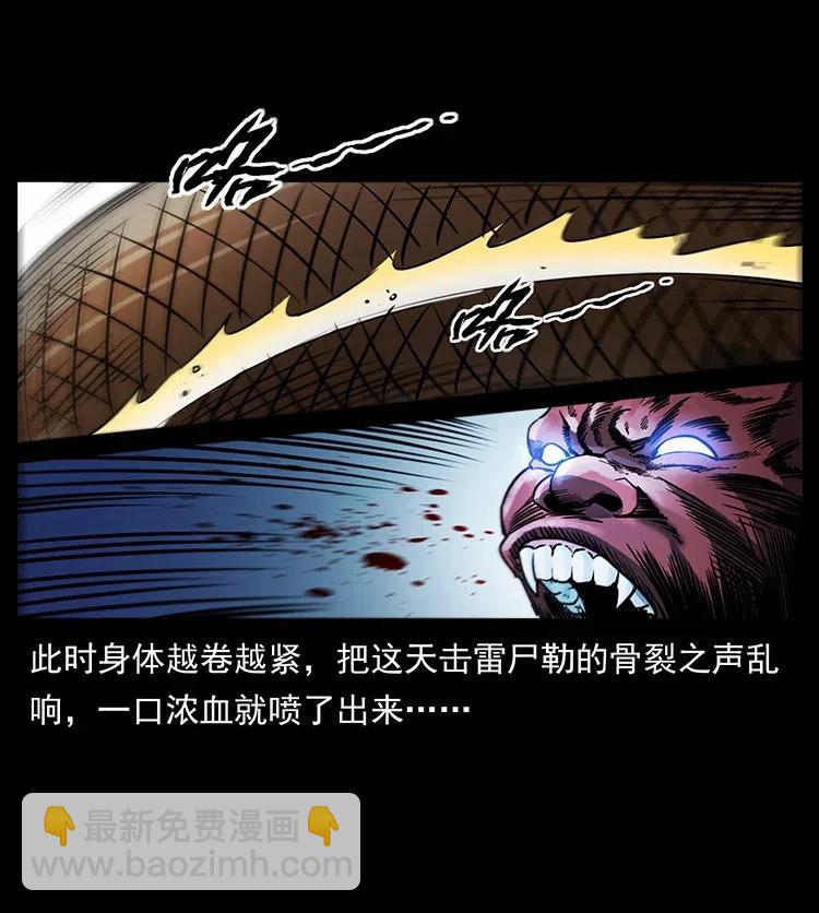 幽冥詭匠 - 372 天擊雷屍(2/2) - 1