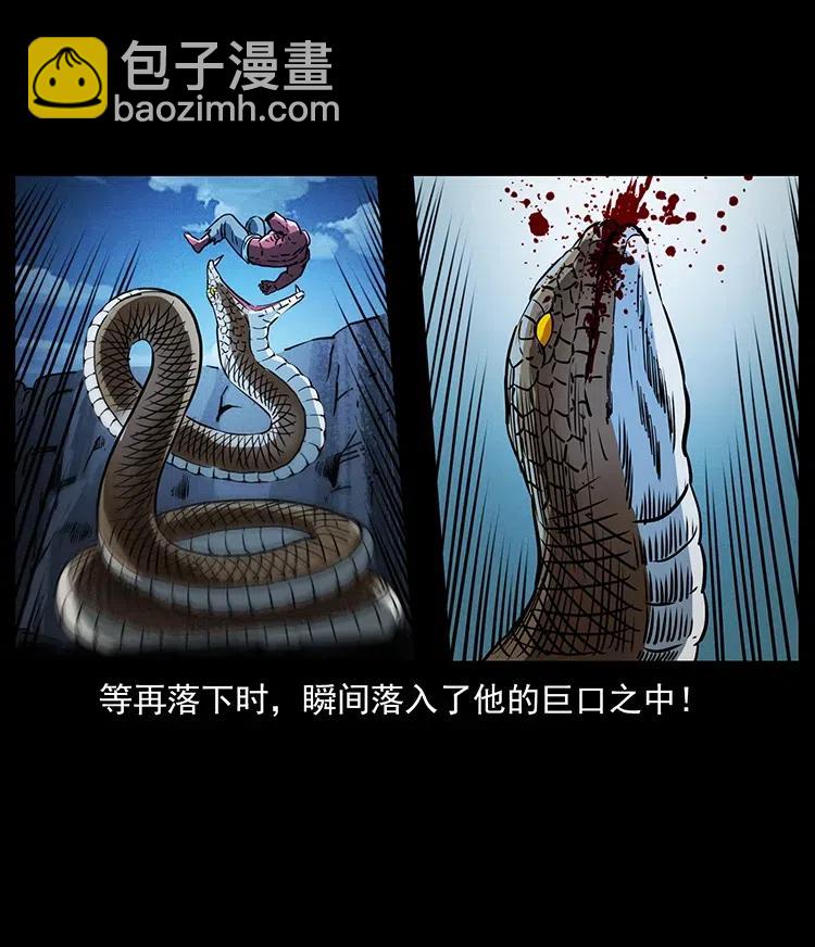 幽冥詭匠 - 372 天擊雷屍(2/2) - 4