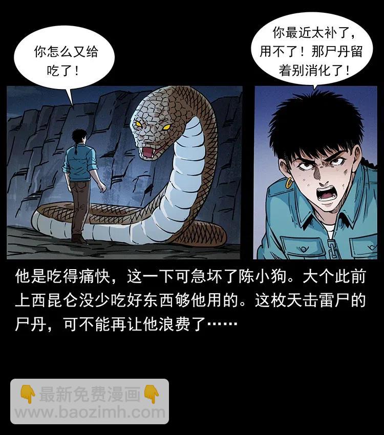 幽冥詭匠 - 372 天擊雷屍(2/2) - 5