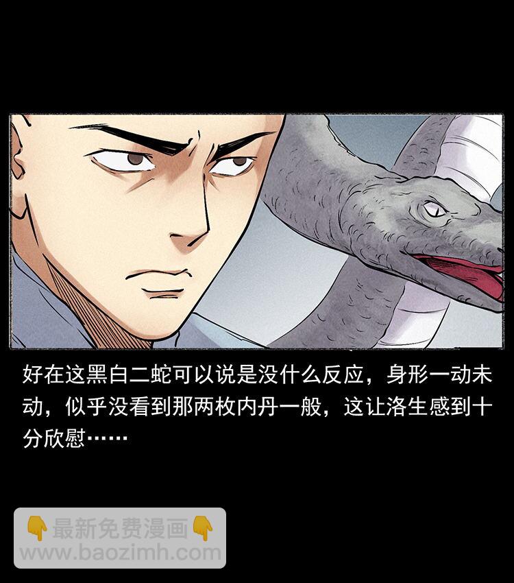 幽冥詭匠 - 外傳 洛生傳6 黑薩滿(2/2) - 5