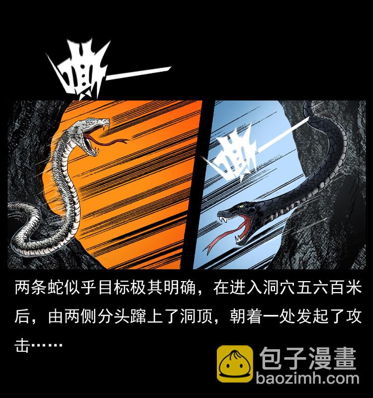 幽冥詭匠 - 049 刨屍狗傳奇2(1/2) - 4