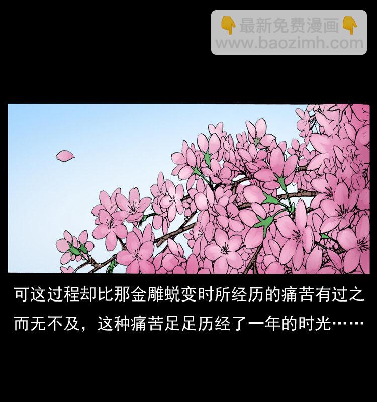 幽冥詭匠 - 049 刨屍狗傳奇2(2/2) - 5