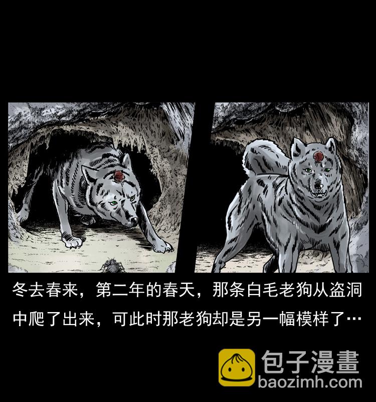 幽冥詭匠 - 049 刨屍狗傳奇2(2/2) - 6