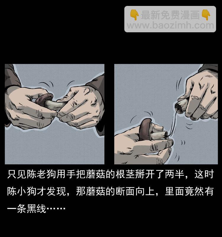 幽冥诡匠 - 006 棺材菇(1/2) - 1