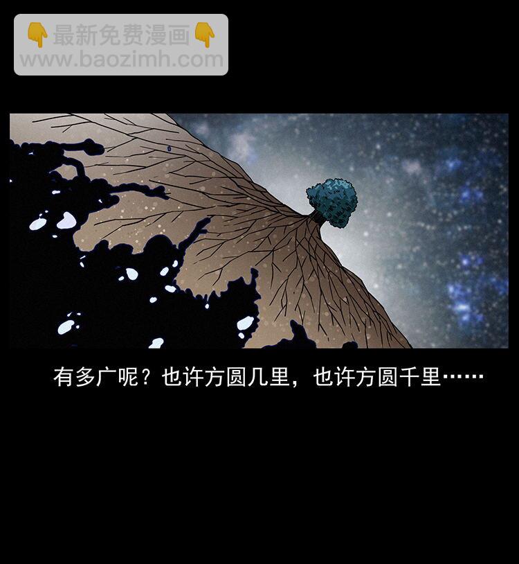 幽冥詭匠 - 482 以樹爲啓點(2/2) - 5