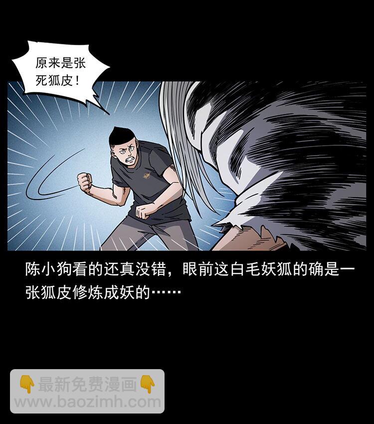 幽冥詭匠 - 486 人與狐(2/2) - 6