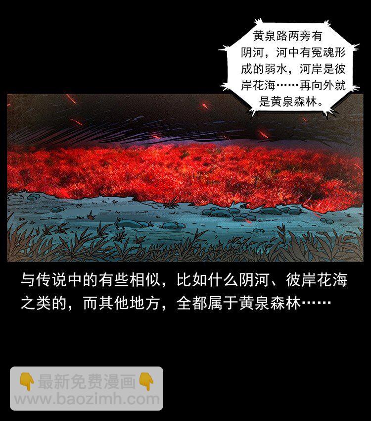 幽冥詭匠 - 490 黑暗森林(2/2) - 5