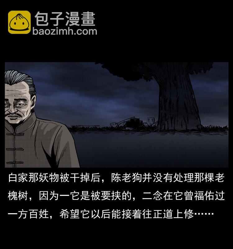 幽冥詭匠 - 008 槐樹下的小廟(2/2) - 4