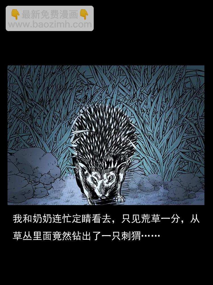 幽冥詭匠 - 番外2 之保家白仙(1/2) - 7