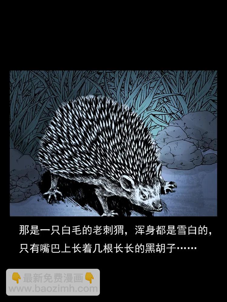 幽冥詭匠 - 番外2 之保家白仙(1/2) - 8