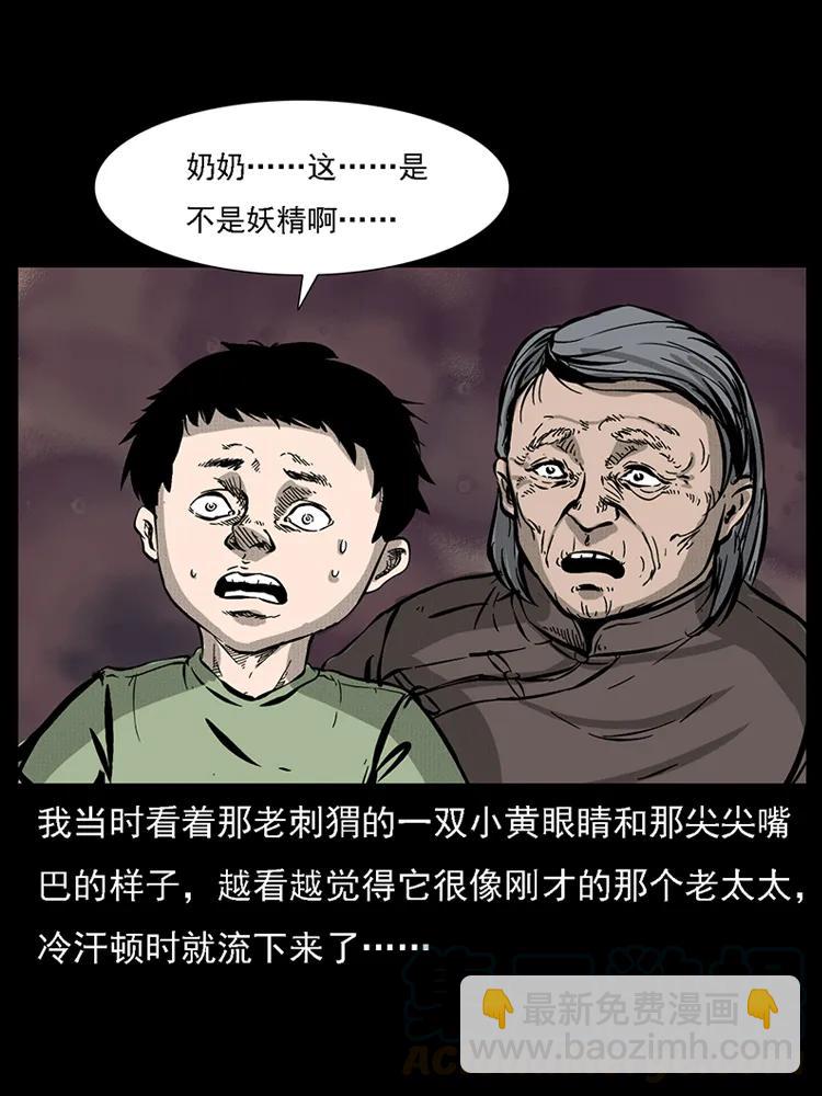 幽冥詭匠 - 番外2 之保家白仙(1/2) - 1
