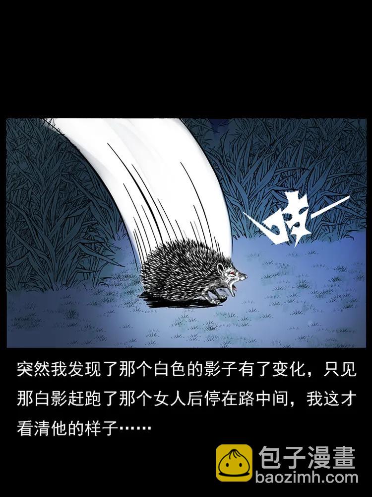 幽冥詭匠 - 番外2 之保家白仙(2/2) - 1