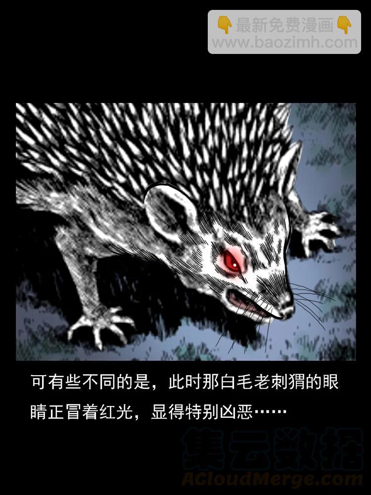 幽冥詭匠 - 番外2 之保家白仙(2/2) - 3