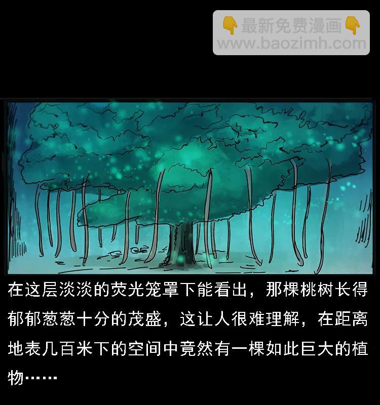 幽冥诡匠 - 082 鬼桃树(1/2) - 2