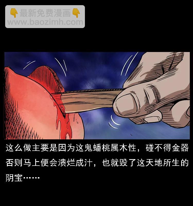 幽冥詭匠 - 084 刨屍狗的妖化之路(1/2) - 8