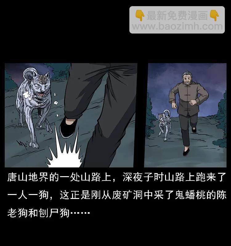 幽冥詭匠 - 084 刨屍狗的妖化之路(1/2) - 2