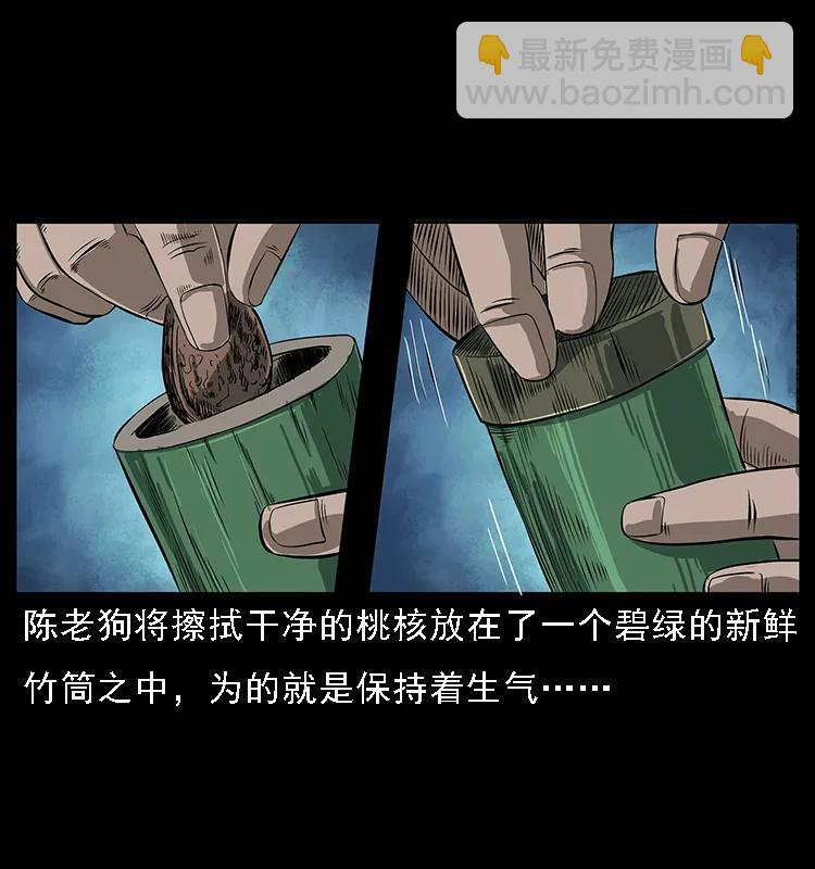 幽冥詭匠 - 084 刨屍狗的妖化之路(1/2) - 4