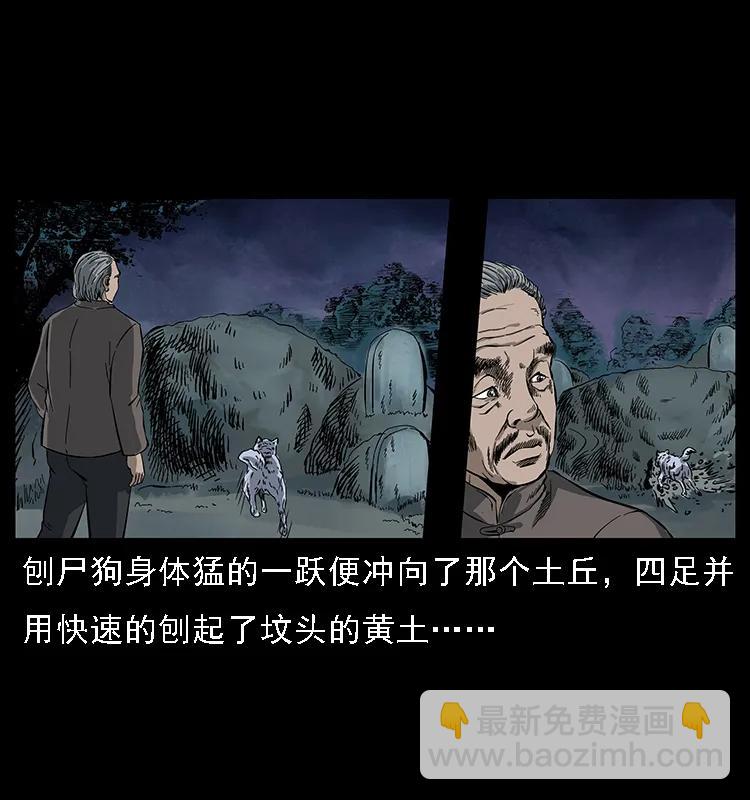 幽冥詭匠 - 084 刨屍狗的妖化之路(1/2) - 4