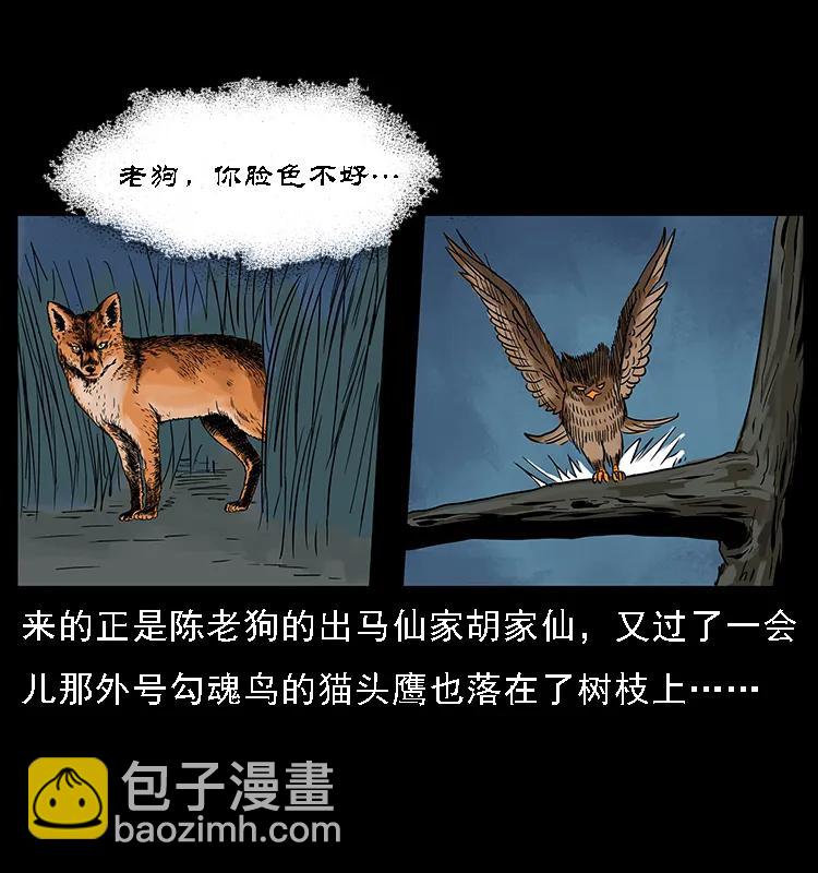 幽冥詭匠 - 084 刨屍狗的妖化之路(2/2) - 1