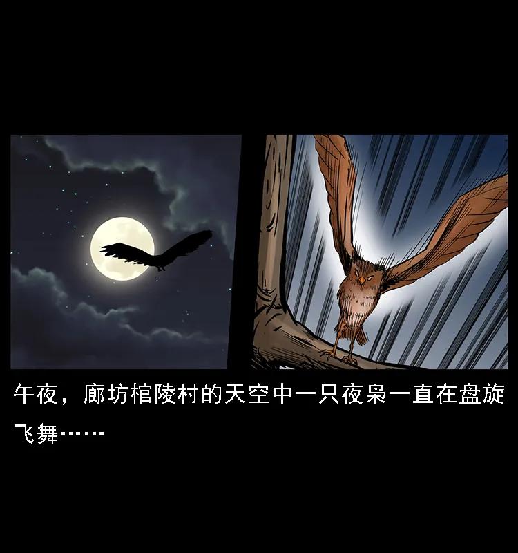 幽冥诡匠 - 088 勾魂鸟夜枭(1/2) - 2