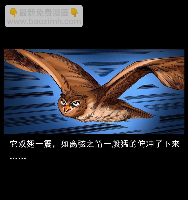 幽冥詭匠 - 088 勾魂鳥夜梟(1/2) - 2