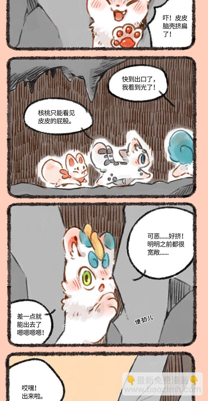 2.jpg