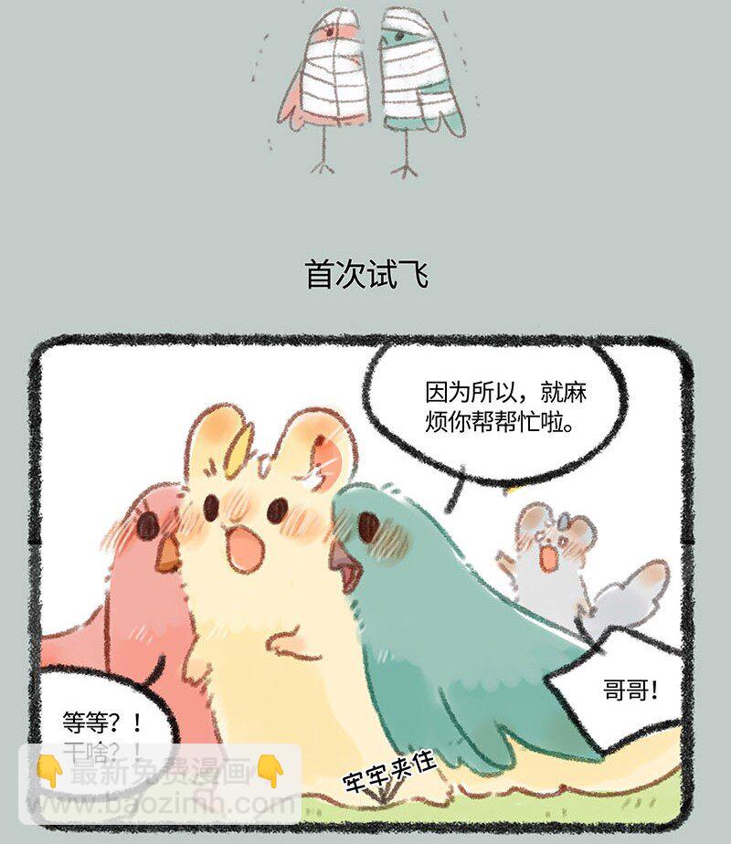 有獸焉 - 271 比翼鳥合體需謹慎 - 1