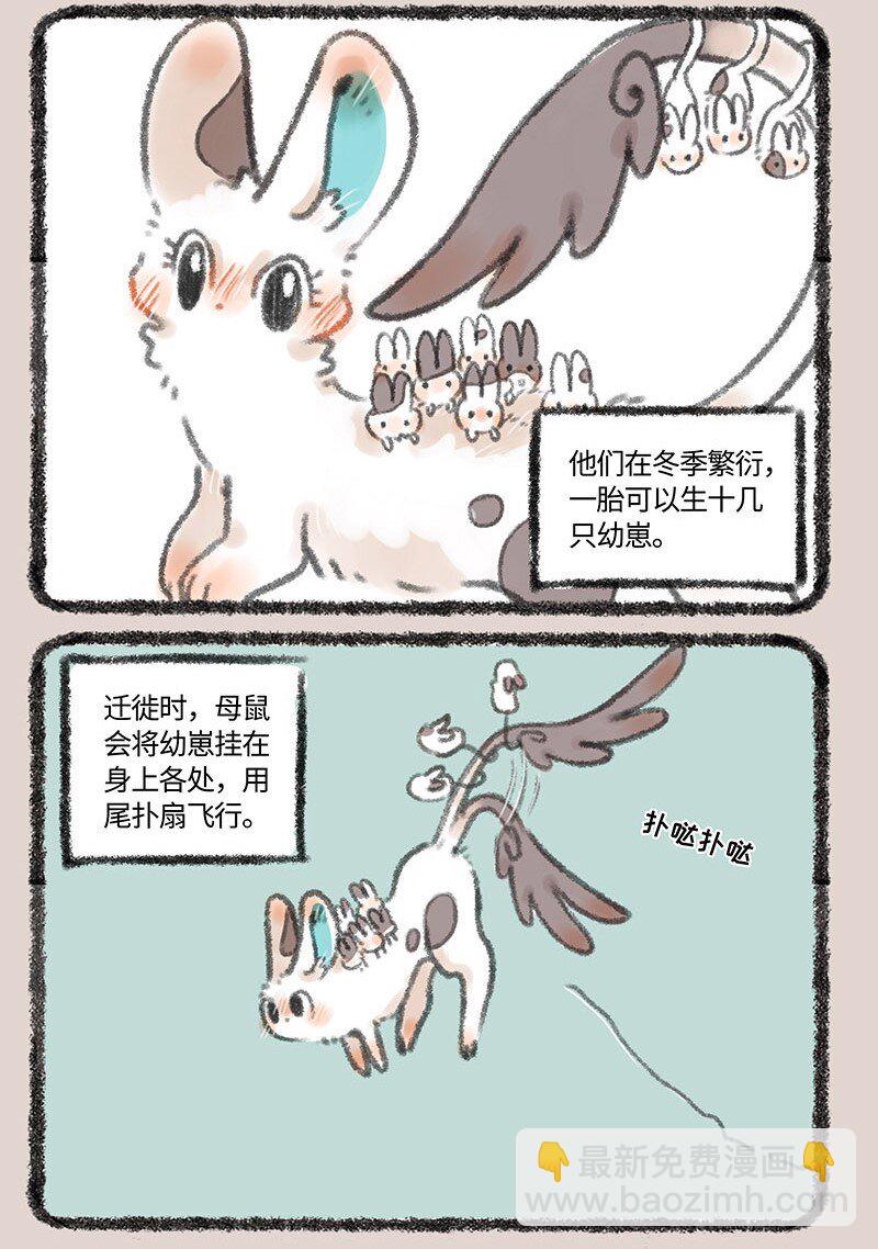 有獸焉 - 283 耳鼠 - 1