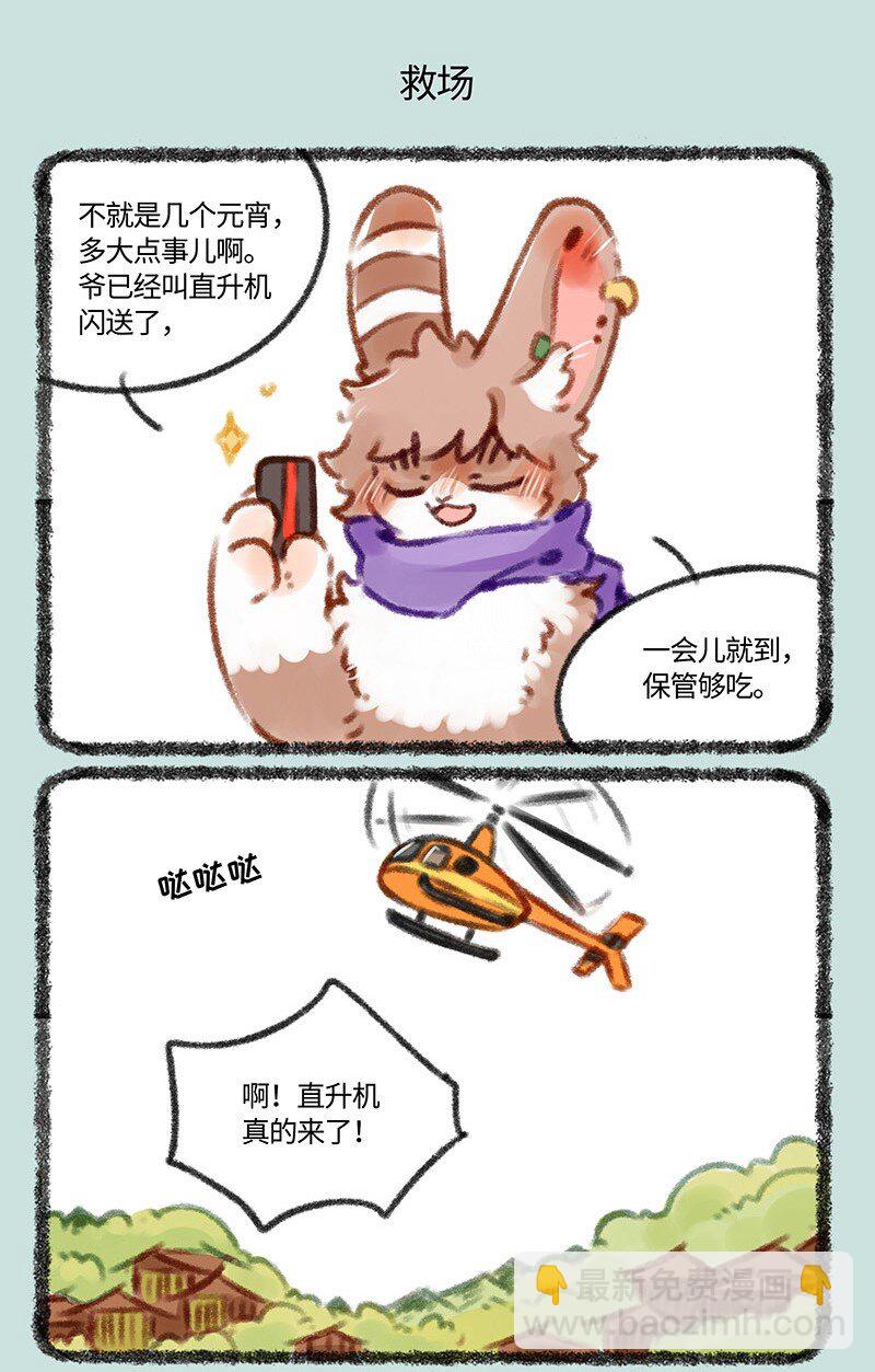 5.jpg