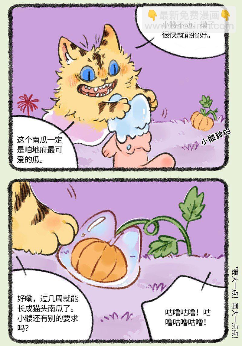 有兽焉 - 825 猫头南瓜 - 1