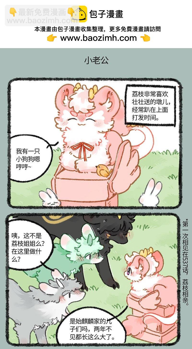 5.jpg