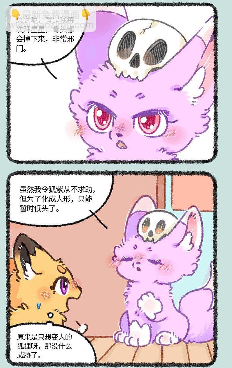 有獸焉 - 907 紫狐來了 - 2