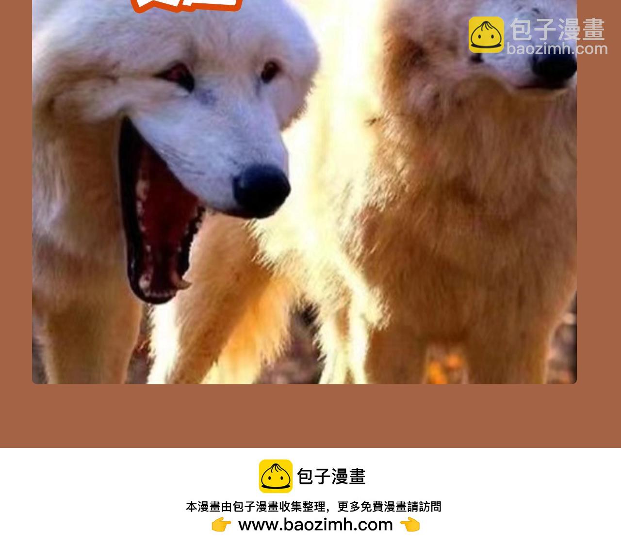 第18期 整活企划：吃醋的周总-第42话