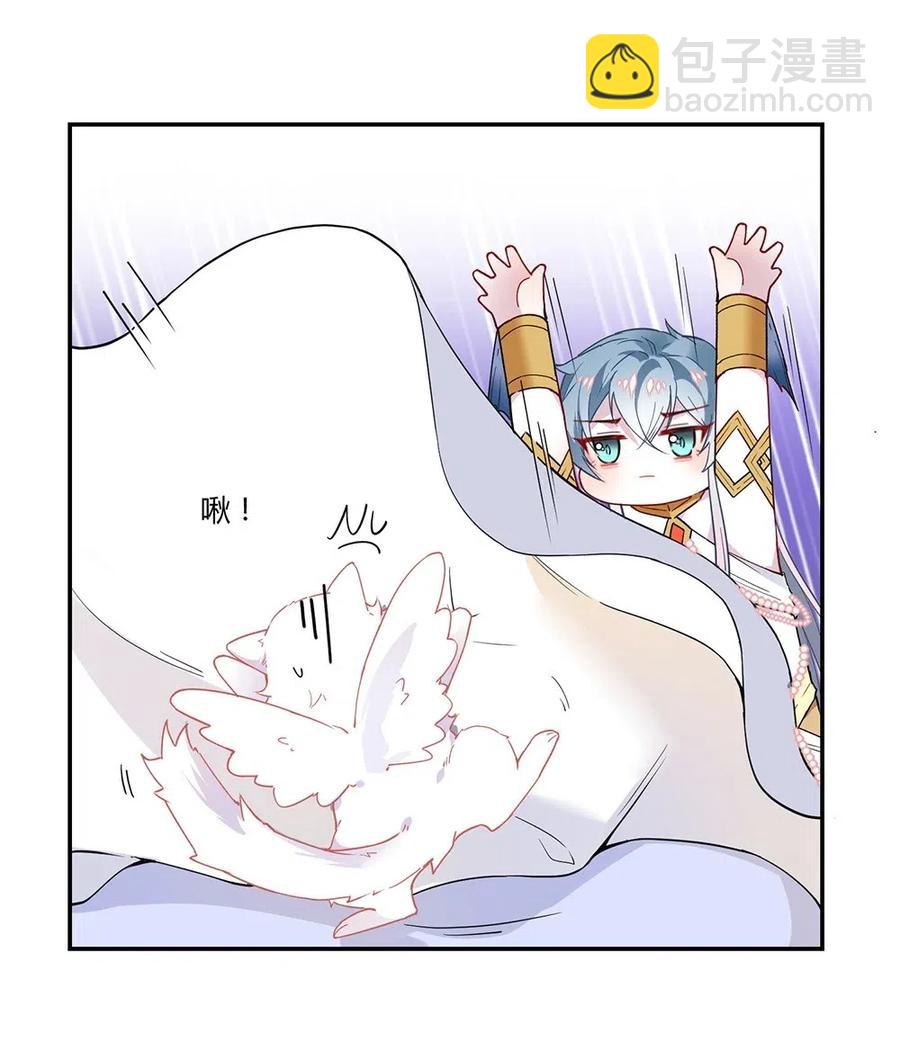 040 精灵蛋孵化成功-第42话