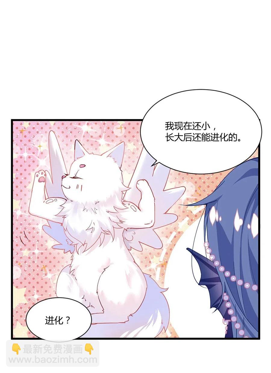 040 精灵蛋孵化成功-第42话