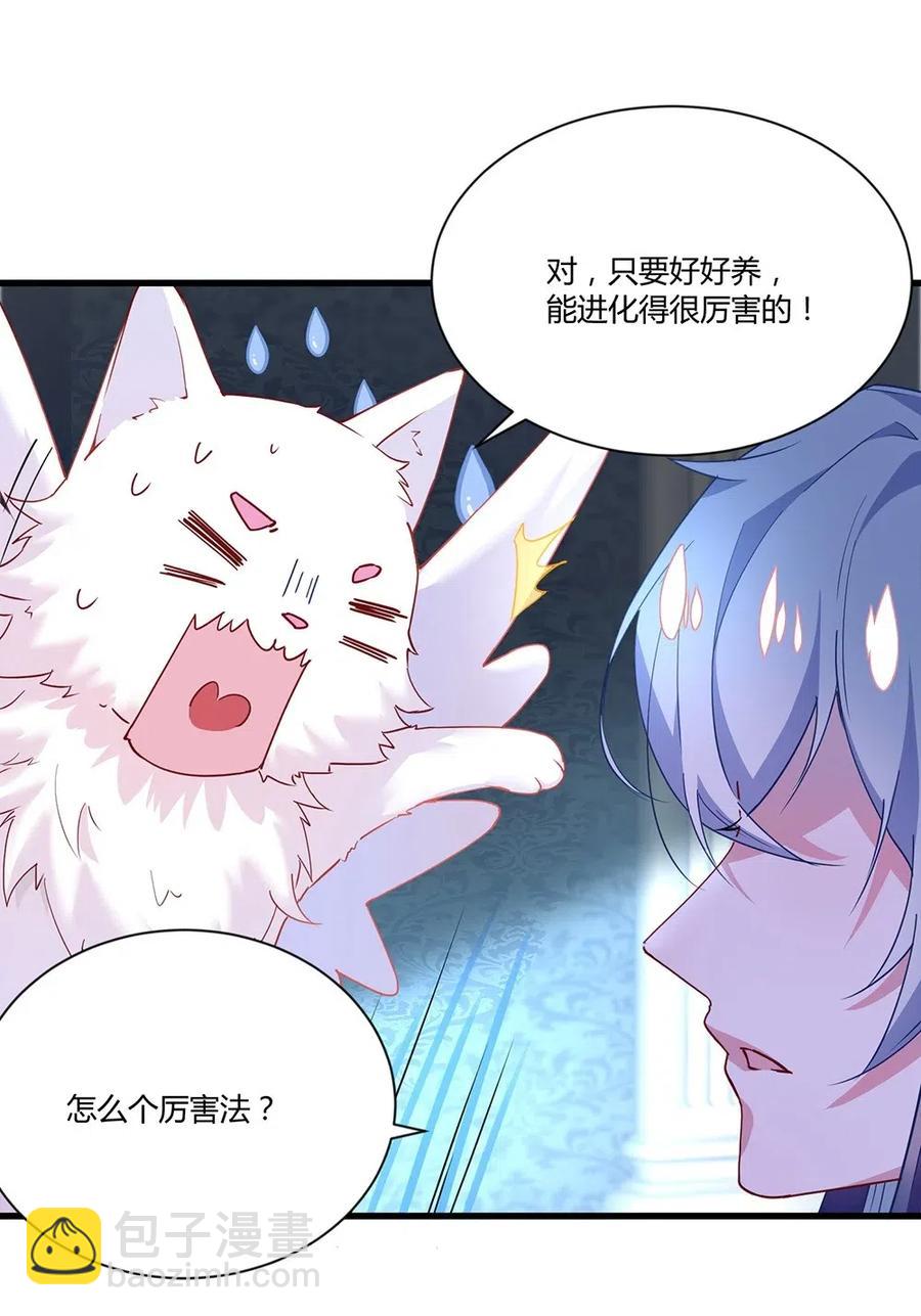 040 精灵蛋孵化成功-第42话