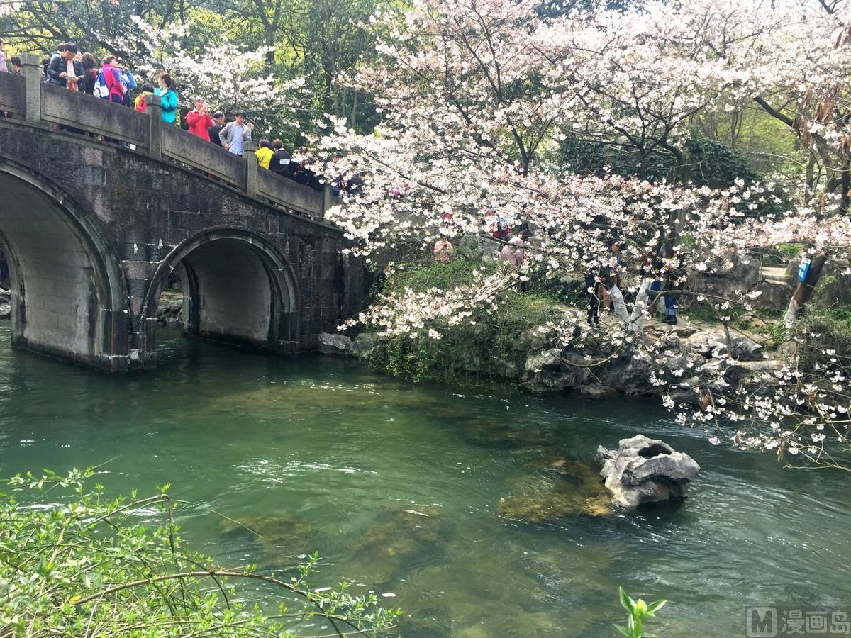 第121话 浪漫樱花之旅4-第122话