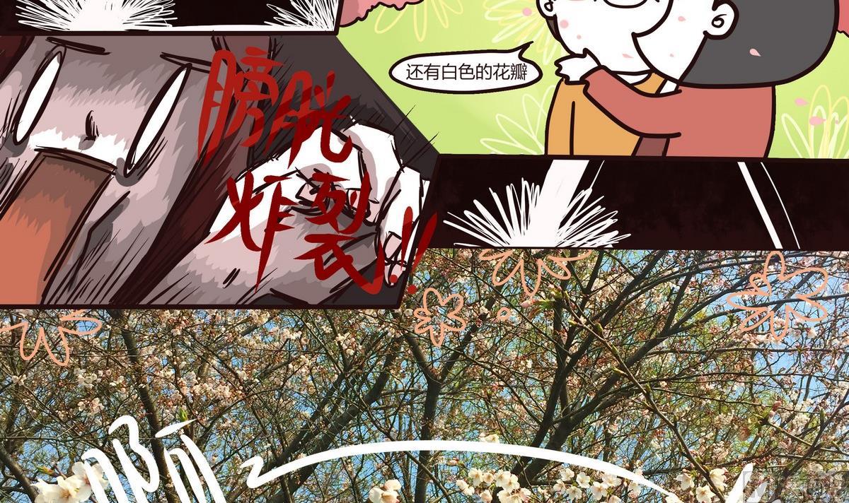 第121话 浪漫樱花之旅4-第122话