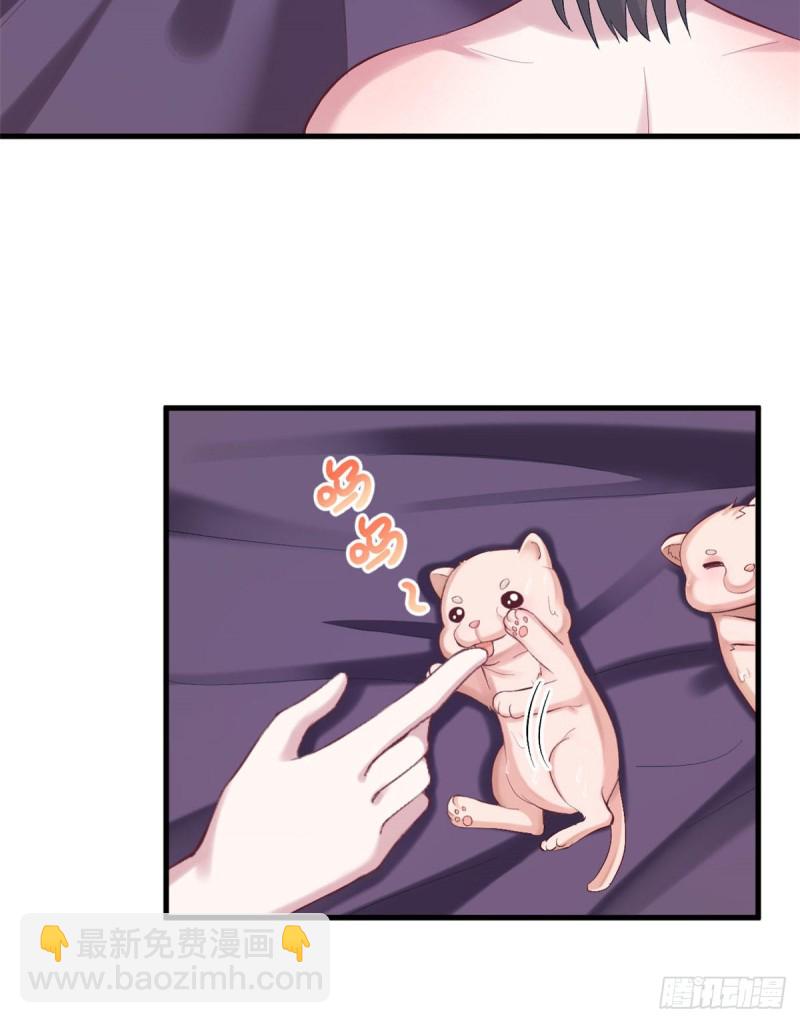 悠哉獸世：種種田，生生崽 - 第203話(1/2) - 2