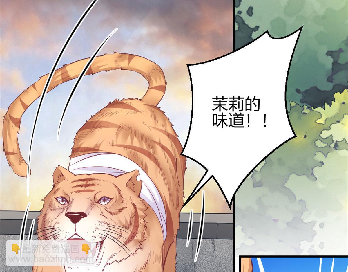 悠哉獸世：種種田，生生崽 - 370(2/2) - 8