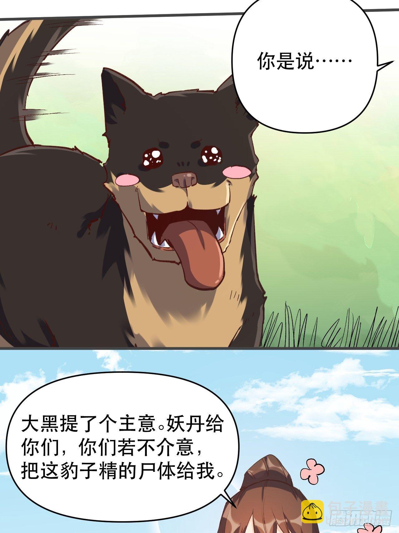 26.jpg