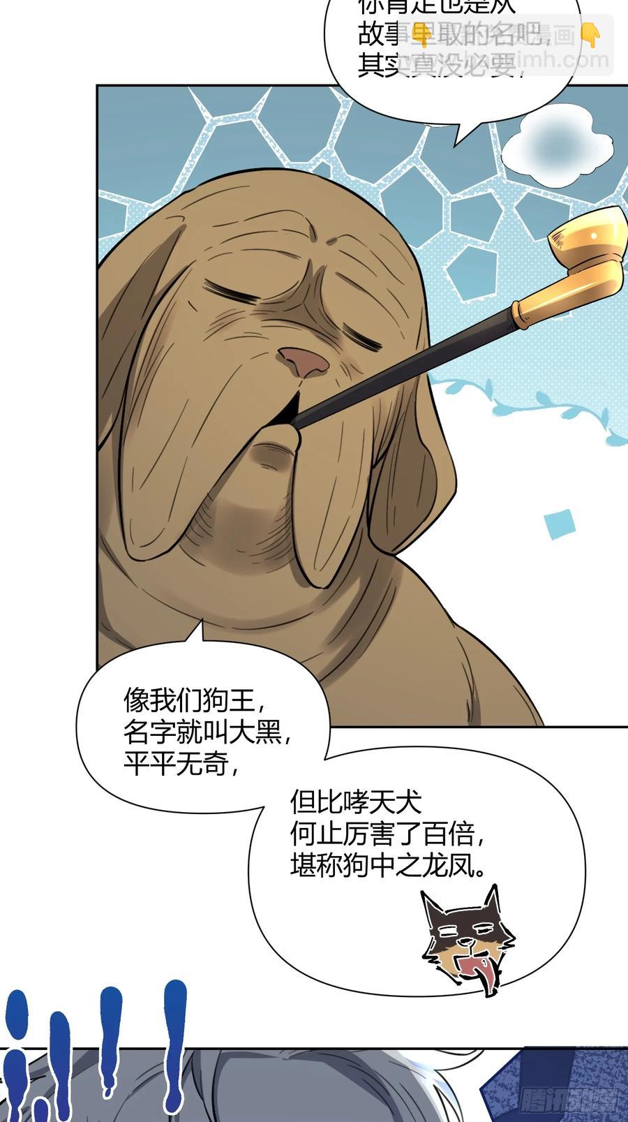 41.jpg