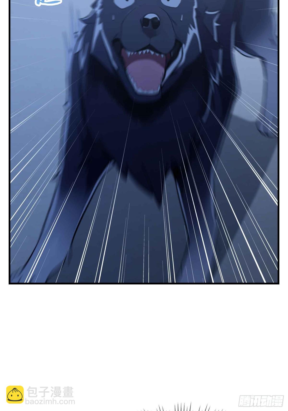 49.jpg
