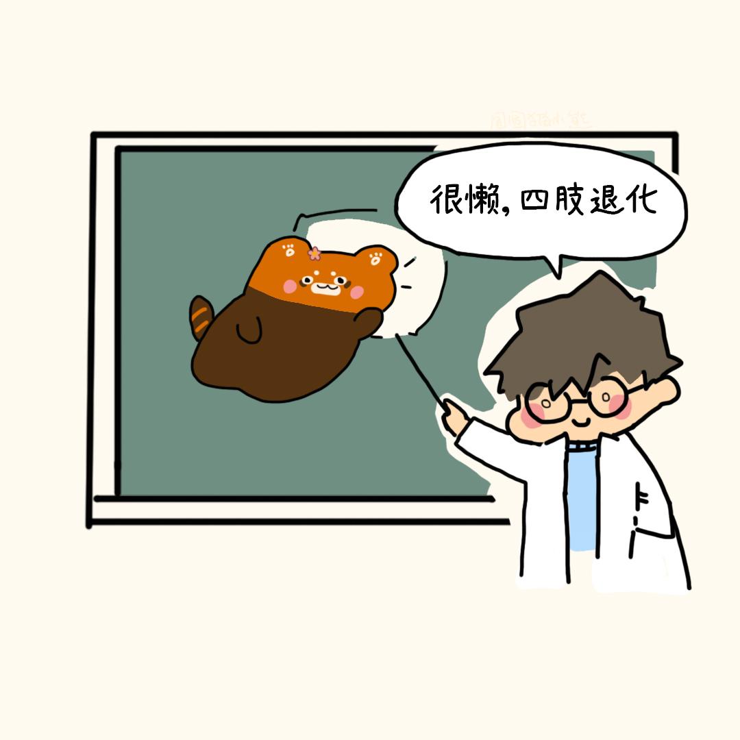 熊的两幅面孔-第16话