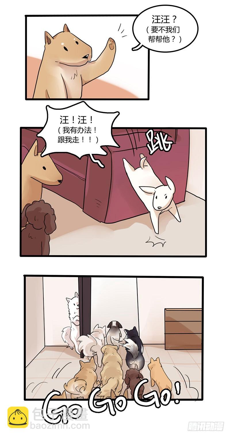 主人，汪们祝你一臂之力！-第34话