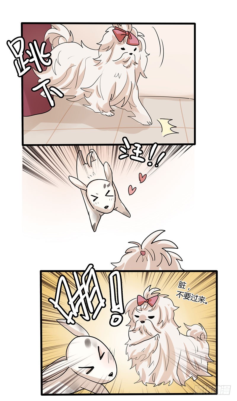 生物链最底层的男人！-第36话