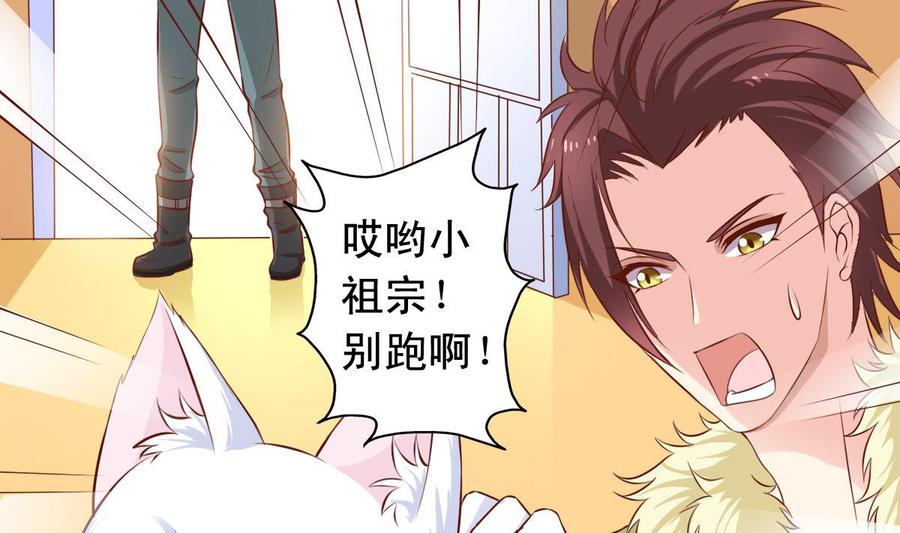 番外37 难伺候的猫-第182话