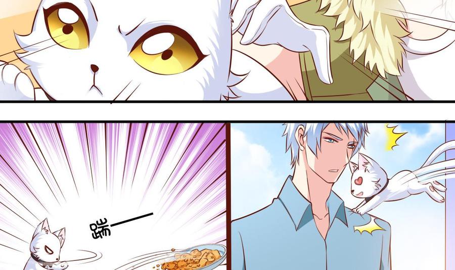 番外37 难伺候的猫-第182话